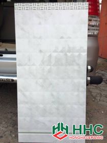 Gạch 50x100 cao cấp giá: 90n/v